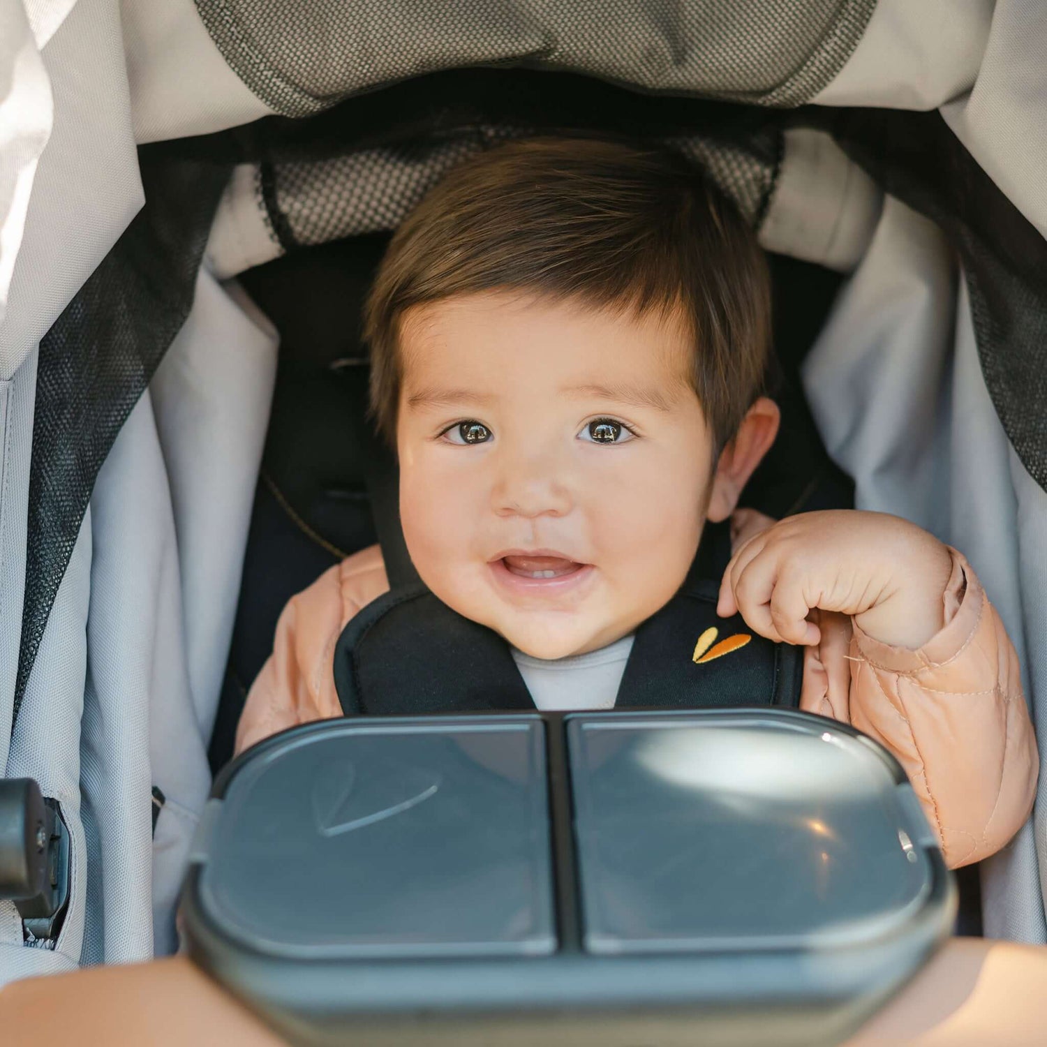 Crossover Convertible Stroller Wagon - Larktale