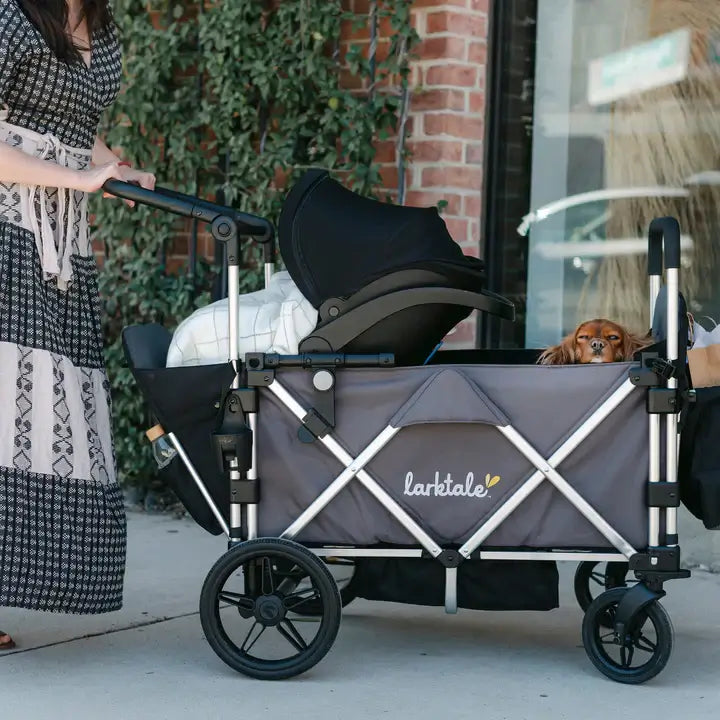 Caravan Stroller Baby Seat Adapter and dog